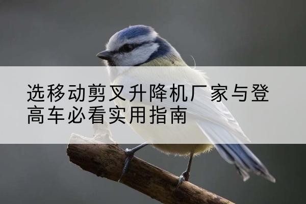天峨电动升降机厂家-选移动剪叉升降机厂家与登高车必看实用指南