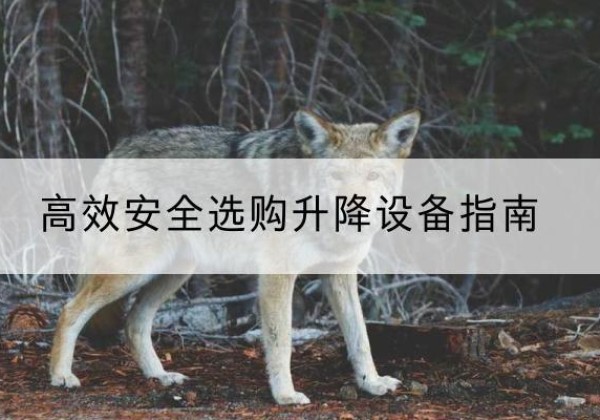 天峨升降货梯厂家推荐-*安全选购升降设备指南