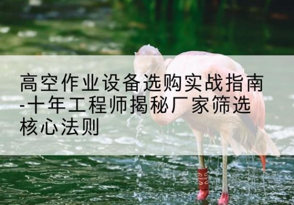 天峨剪叉式升降机厂家-高空作业设备选购实战指南-十年工程师揭秘厂家筛选核心法则