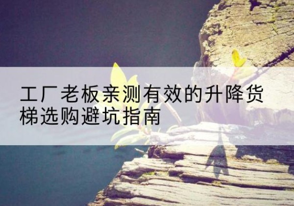 天峨升降货梯怎么选-工厂老板亲测有效的升降货梯选购避坑指南